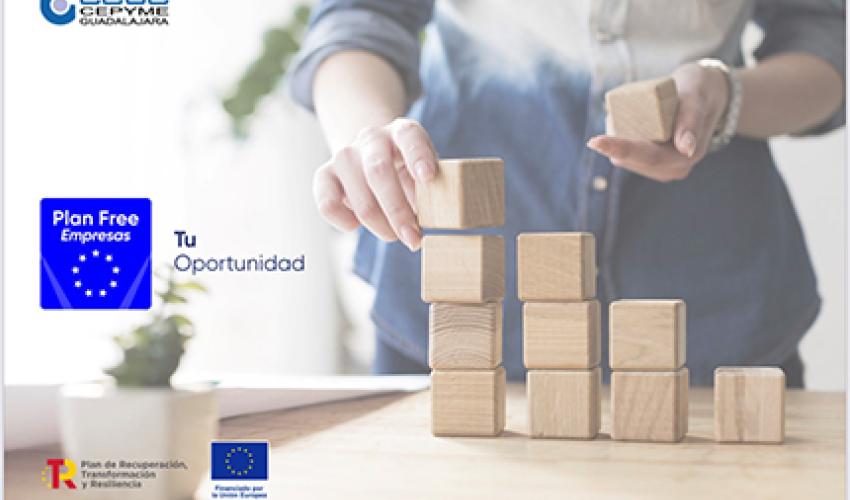 CEOE-CEPYME Guadalajara ha puesto a disposici�n de las empresas de la provincia 1.200.000 euros a trav�s de los fondos europeos de resiliencia