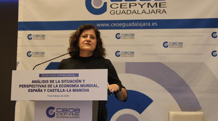 Rafael Dom�nech habla de crecimiento moderado y relativa estabilidad en un desayuno empresarial organizado por CEOE-CEPYME Guadalajara ante m�s de un centenar de empresarios