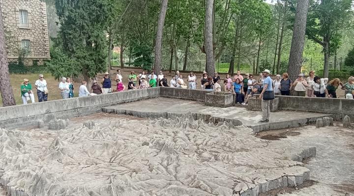 El primer viaje de Conoce tu provincia de 2026, impulsado por la Diputaci�n y la Federaci�n provincial de Turismo y Hosteler�a de Guadalajara, hace parada en el Mar de Castilla