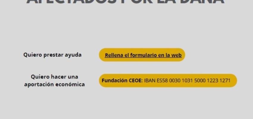Ayuda DANA