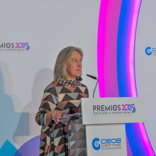 Premios Excelencia Empresarial 2025