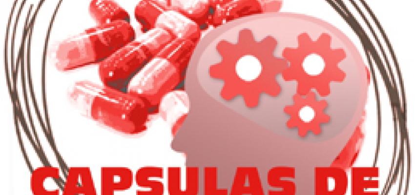 Rotundo �xito de las primeras capsulas de conocimiento del CEEI