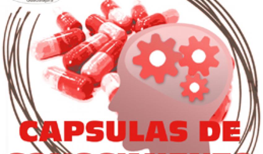 Rotundo �xito de las primeras capsulas de conocimiento del CEEI