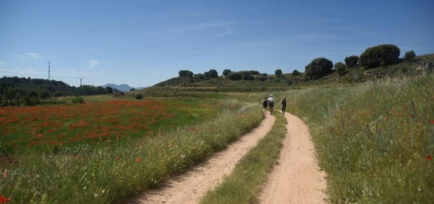 La Diputaci�n y la CEOE organizan un viaje a La Alcarria para medios especializados en turismo